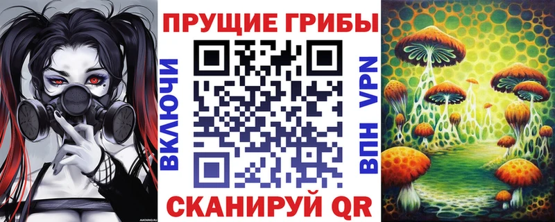 дарк нет формула  hydra онион  Пучеж  магазин продажи наркотиков  Псилоцибиновые грибы прущие грибы 