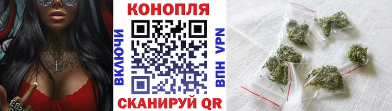 Бошки марихуана OG Kush закладки Пучеж